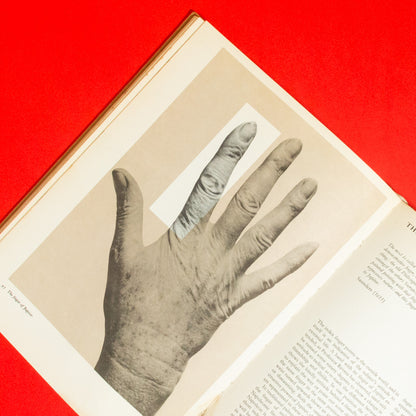 The Book of the Hand: An Illustrated History of Palmistry, by Fred Gettings (Book)
