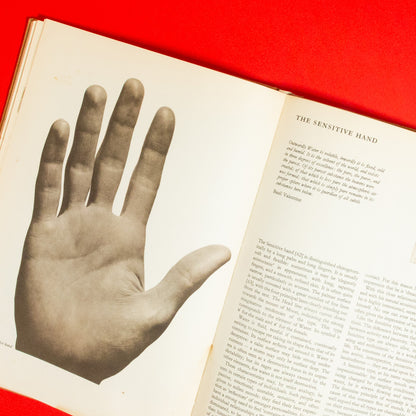 The Book of the Hand: An Illustrated History of Palmistry, by Fred Gettings (Book)