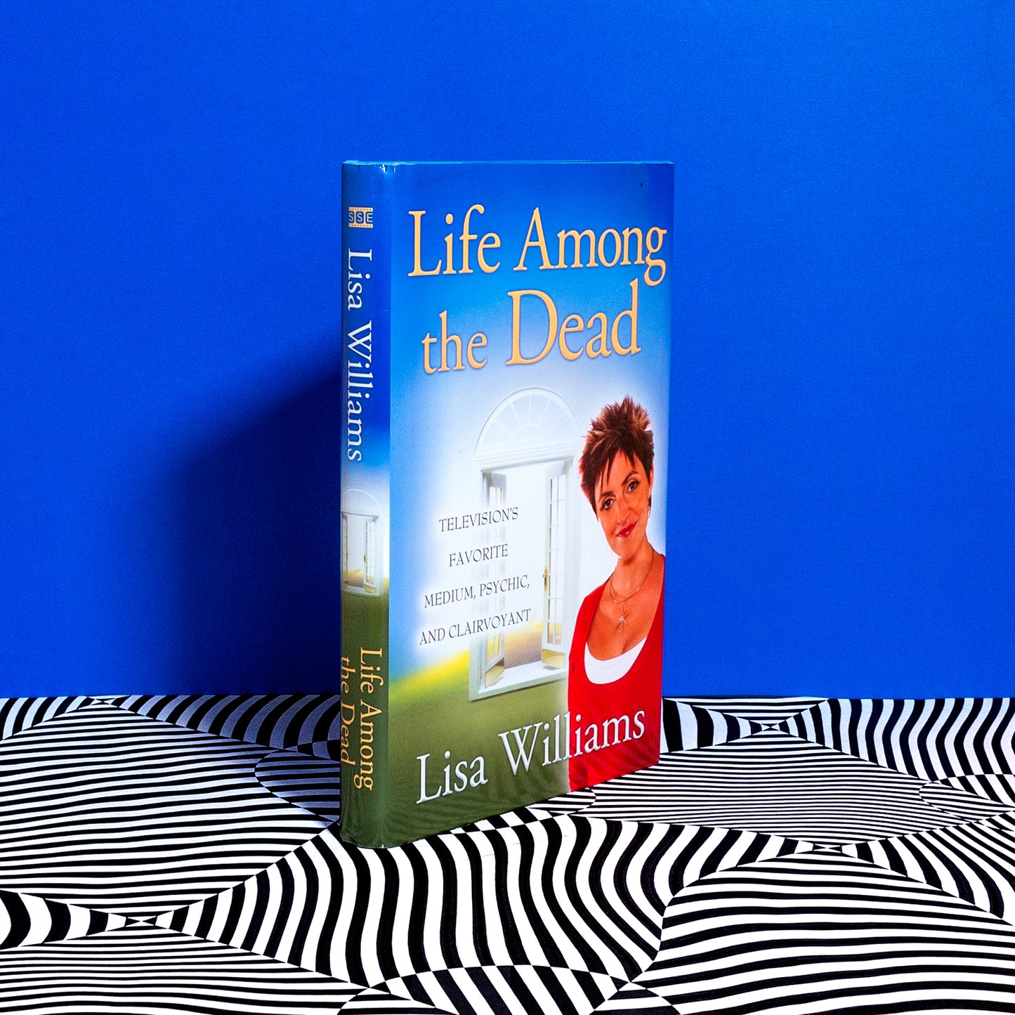 Life Among the Dead, by Lisa Williams (Book)